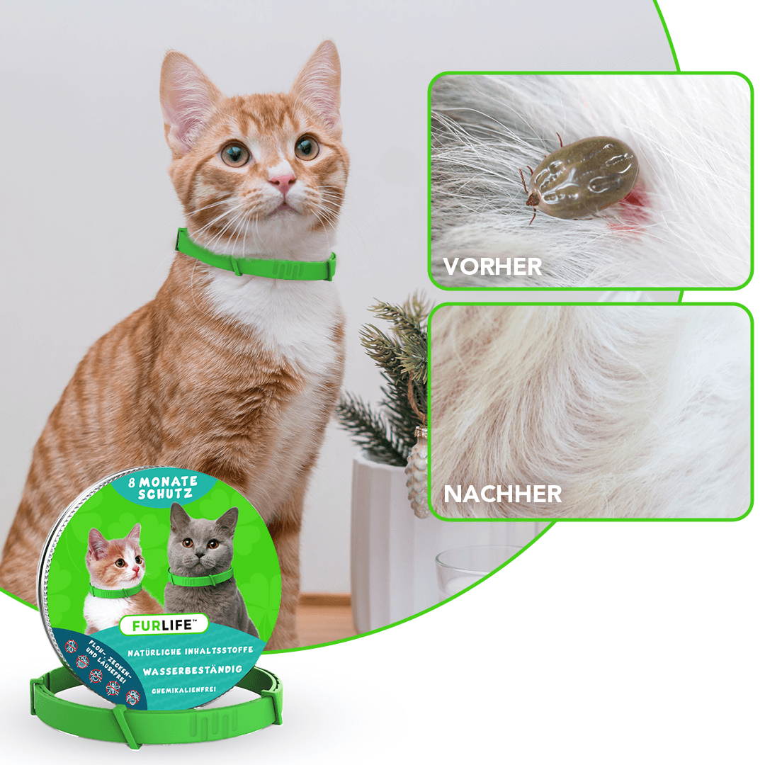 FurLife™ Anti Floh- und Zeckenhalsband