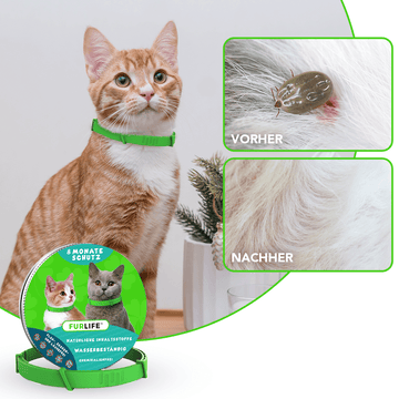 FurLife™ Anti Floh- und Zeckenhalsband