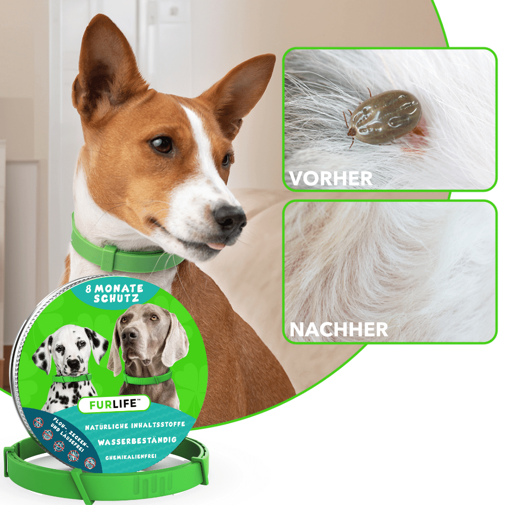 FurLife™ Anti Floh- und Zeckenhalsband